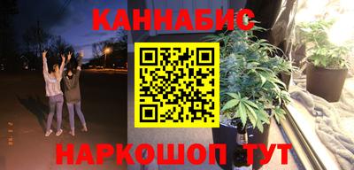 крисы Краснознаменск